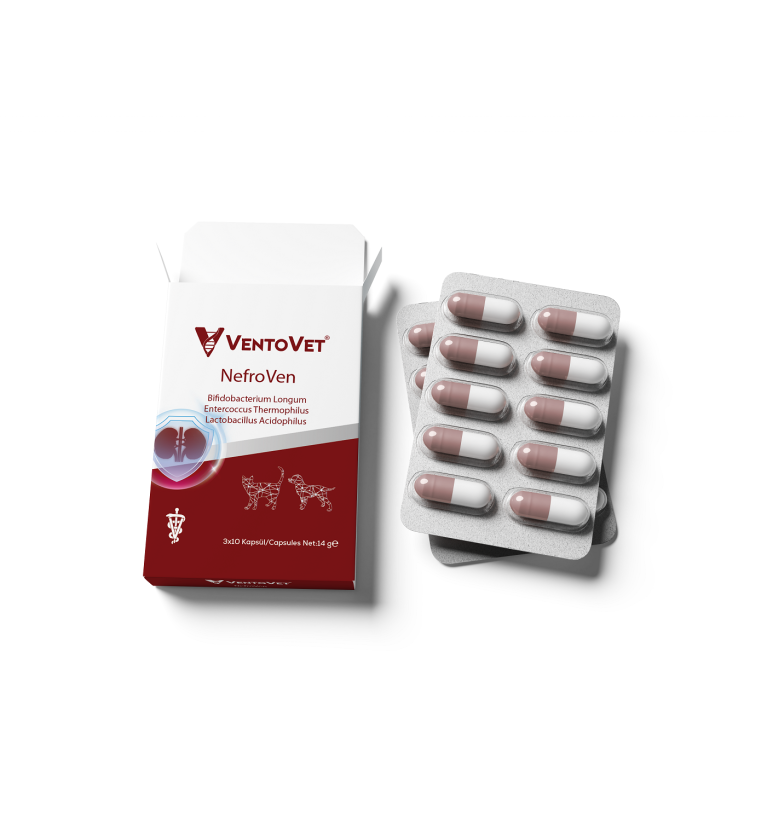 NefroVen